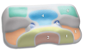 CPAP pillow zones - CustomTech